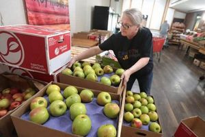 Your Stark County Food Bank: Fight Hunger Locally | World’s Most Delicious Foods: Must-Try Dishes from Every Country