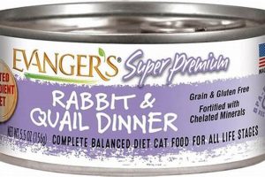 Best Rabbit Cat Food Wet: Delicious & Healthy Meal! World’s Most Delicious Foods: Must-Try Dishes from Every Country Best Rabbit Cat Food Wet: Delicious & Healthy Meal! | World’s Most Delicious Foods: Must-Try Dishes from Every Country