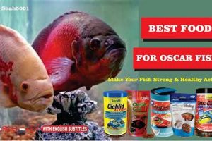 Best Fish Food For Oscar: Feeding Your Oscar Fish Right | World’s Most Delicious Foods: Must-Try Dishes from Every Country