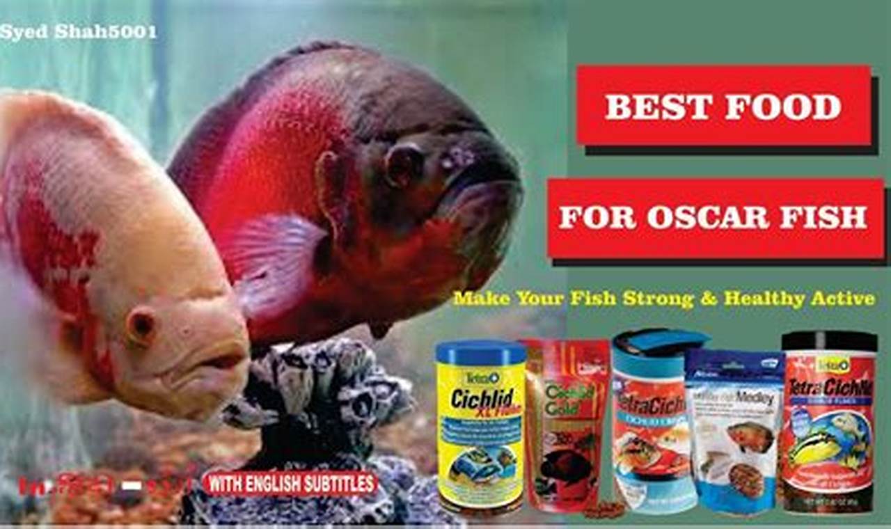 Best Fish Food For Oscar: Feeding Your Oscar Fish Right World’s Most Delicious Foods: Must-Try Dishes from Every Country Best Fish Food For Oscar: Feeding Your Oscar Fish Right | World’s Most Delicious Foods: Must-Try Dishes from Every Country