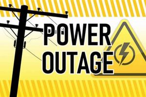 Ohio Food Stamps: Get Replacement SNAP After a Power Outage | World’s Most Delicious Foods: Must-Try Dishes from Every Country