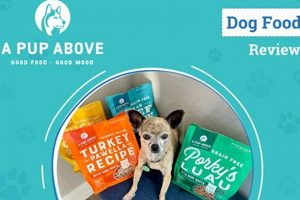 Understanding Pup Above Dog Food: Behavior & Solutions World’s Most Delicious Foods: Must-Try Dishes from Every Country Understanding Pup Above Dog Food: Behavior & Solutions | World’s Most Delicious Foods: Must-Try Dishes from Every Country