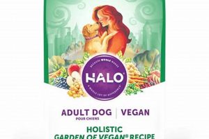 The Ultimate Vegan Dry Dog Food Guide + Reviews World’s Most Delicious Foods: Must-Try Dishes from Every Country The Ultimate Vegan Dry Dog Food Guide + Reviews | World’s Most Delicious Foods: Must-Try Dishes from Every Country