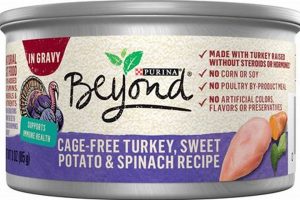 Best Turkey Canned Cat Food: Brands & Buyer's Can Guide World’s Most Delicious Foods: Must-Try Dishes from Every Country Best Turkey Canned Cat Food: Brands & Buyer's Can Guide | World’s Most Delicious Foods: Must-Try Dishes from Every Country