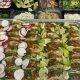 Best Mexican Food Eureka CA Guide: Tacos & More! | World’s Most Delicious Foods: Must-Try Dishes from Every Country