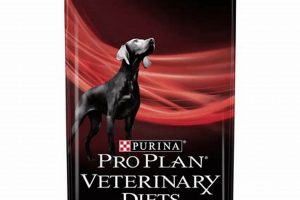 Best Purina Dog Food for Diabetic Dogs: Diet & Care | World’s Most Delicious Foods: Must-Try Dishes from Every Country