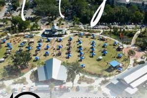 Discover the Hilton Head Island Wine & Food Festival! | World’s Most Delicious Foods: Must-Try Dishes from Every Country