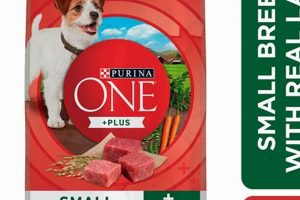 Best Small Dog Breed Dog Food: Nutrition Guide & Reviews | World’s Most Delicious Foods: Must-Try Dishes from Every Country
