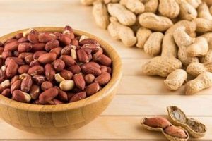 Peanut Peril? Does Indian Food Have Peanuts? Guide | World’s Most Delicious Foods: Must-Try Dishes from Every Country