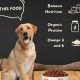 Guide: Best Food for Labradors - Expert Tips & Diet | World’s Most Delicious Foods: Must-Try Dishes from Every Country