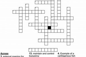 Master Food Fish Crossword Clues: Solve it! | World’s Most Delicious Foods: Must-Try Dishes from Every Country