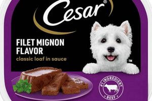 Cesar Filet Mignon Dog Food: Is it Good for Your Pup? World’s Most Delicious Foods: Must-Try Dishes from Every Country Cesar Filet Mignon Dog Food: Is it Good for Your Pup? | World’s Most Delicious Foods: Must-Try Dishes from Every Country