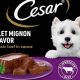 Cesar Filet Mignon Dog Food: Is it Good for Your Pup? | World’s Most Delicious Foods: Must-Try Dishes from Every Country