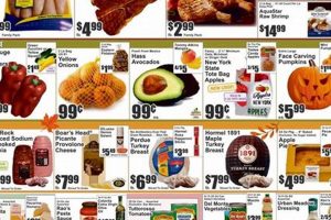 Find Key Food Deals Near You: Weekly Circular Savings This Week! | World’s Most Delicious Foods: Must-Try Dishes from Every Country