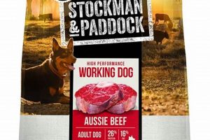 Best Working Dog Food: Fuel Your Active Canine! World’s Most Delicious Foods: Must-Try Dishes from Every Country Best Working Dog Food: Fuel Your Active Canine! | World’s Most Delicious Foods: Must-Try Dishes from Every Country