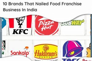 Top Indian Food Franchise USA: Your Guide &amp; More! | World’s Most Delicious Foods: Must-Try Dishes from Every Country