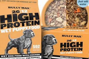 Best Bully Breed Dog Food: Fueling Your Bully's Power! | World’s Most Delicious Foods: Must-Try Dishes from Every Country