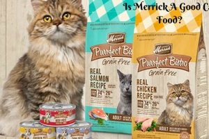 Merrick Cat Food: Is It Good? + Pros & Cons | World’s Most Delicious Foods: Must-Try Dishes from Every Country
