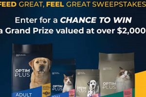 Is Optum Plus Dog Food Good? Expert Review & Guide | World’s Most Delicious Foods: Must-Try Dishes from Every Country