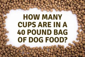 Dog Food Guide: How Many Cups in a 30 lb Bag? | World’s Most Delicious Foods: Must-Try Dishes from Every Country