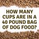 Dog Food Guide: How Many Cups in a 30 lb Bag? | World’s Most Delicious Foods: Must-Try Dishes from Every Country