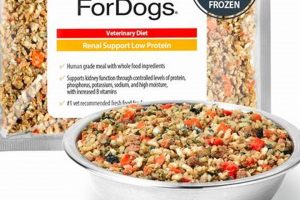 Best Low Phosphorus Dog Food: Diet & Health Tips | World’s Most Delicious Foods: Must-Try Dishes from Every Country