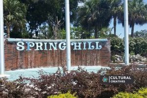 Find Local: Food Banks in Spring Hill, FL Near You | World’s Most Delicious Foods: Must-Try Dishes from Every Country