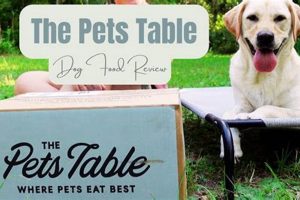 What is Open Table Dog Food: Benefits & Choices For Dogs | World’s Most Delicious Foods: Must-Try Dishes from Every Country