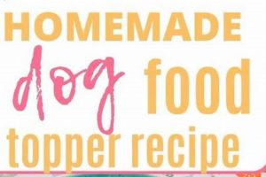 Easy Homemade Dog Food Topper Recipe: Healthy & Yummy! | World’s Most Delicious Foods: Must-Try Dishes from Every Country