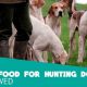 Top-Rated: Best Dog Food for Hunting Dogs - Fuel Your Hunter | World’s Most Delicious Foods: Must-Try Dishes from Every Country