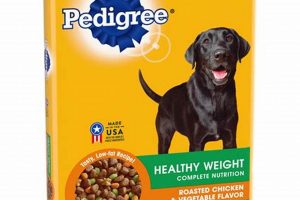 Best Dog Weight Gain Food: Tips & Brands | World’s Most Delicious Foods: Must-Try Dishes from Every Country