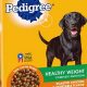 Best Dog Weight Gain Food: Tips & Brands | World’s Most Delicious Foods: Must-Try Dishes from Every Country