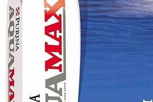 Best Aquamax Fish Food: Nutrition for Vibrant Fish | World’s Most Delicious Foods: Must-Try Dishes from Every Country