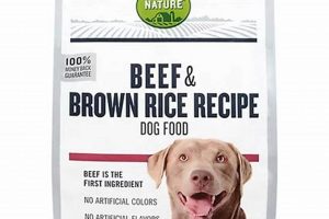 Best Beef Rice Dog Food: Healthy & Delicious Meals | World’s Most Delicious Foods: Must-Try Dishes from Every Country