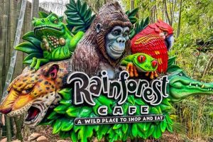 Top Bites: Best Food at Rainforest Cafe Menu Faves | World’s Most Delicious Foods: Must-Try Dishes from Every Country