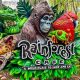 Top Bites: Best Food at Rainforest Cafe Menu Faves | World’s Most Delicious Foods: Must-Try Dishes from Every Country
