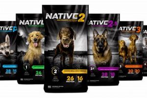 Kent Dog Food: The Best Choice For Your Pup Today | World’s Most Delicious Foods: Must-Try Dishes from Every Country