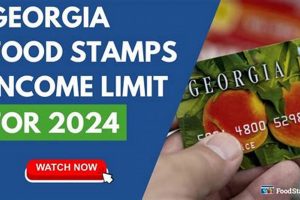 Georgia Food Stamps: When Does Your Card Get Loaded? [Explained] | World’s Most Delicious Foods: Must-Try Dishes from Every Country