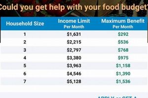 State SNAP White Paper: Food Aid Programs & Analysis | World’s Most Delicious Foods: Must-Try Dishes from Every Country