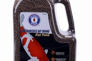 Best Koi Food for Sale: Deals & Nutrition | World’s Most Delicious Foods: Must-Try Dishes from Every Country