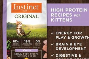 Instinct Cat Food: Is It a Good Choice? Review + More | World’s Most Delicious Foods: Must-Try Dishes from Every Country