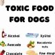 Dog-Safe: Toxic Food for Dogs PDF - Free Guide! | World’s Most Delicious Foods: Must-Try Dishes from Every Country