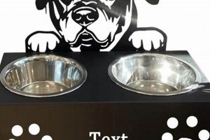 Personalized Custom Dog Food Bowls: For Happy Dogs! | World’s Most Delicious Foods: Must-Try Dishes from Every Country