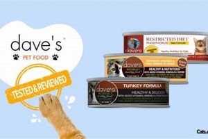 Best Dave's Pet Food Cat: Reviews & Buying Guide | World’s Most Delicious Foods: Must-Try Dishes from Every Country