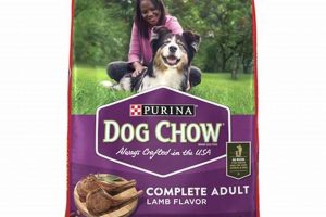 Why Purple Dog Food? Benefits & Beyond for Dogs! World’s Most Delicious Foods: Must-Try Dishes from Every Country Why Purple Dog Food? Benefits & Beyond for Dogs! | World’s Most Delicious Foods: Must-Try Dishes from Every Country