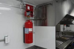 Protect Your Truck: Fire Suppression System for Food Trucks Today! | World’s Most Delicious Foods: Must-Try Dishes from Every Country