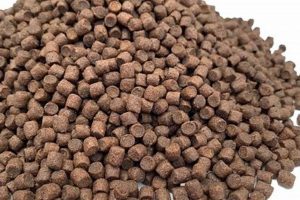 Best Pellet Fish Food: Buying Guide & Reviews | World’s Most Delicious Foods: Must-Try Dishes from Every Country