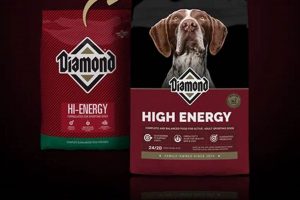 Fuel Active Dogs: Hi Energy Dog Food For Peak Performance | World’s Most Delicious Foods: Must-Try Dishes from Every Country