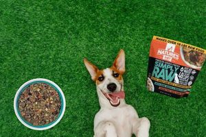 Is Simply Raw Dog Food Right? Benefits & Risks | World’s Most Delicious Foods: Must-Try Dishes from Every Country