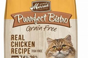 Best Merrick Before Grain Cat Food: Healthy & Happy Cats! | World’s Most Delicious Foods: Must-Try Dishes from Every Country